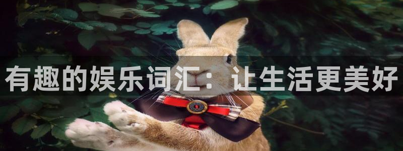 环球360：有趣的娱乐词汇：让生活更美好