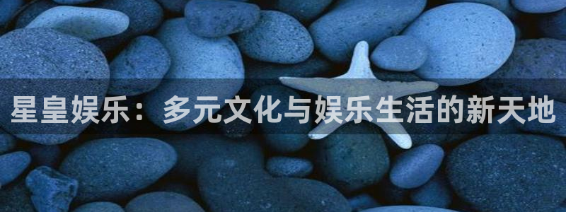 环球360一比一代理合作：星皇娱乐：多元文化与娱乐生活的新天地