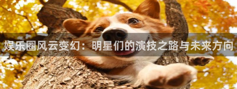 环球360官网：娱乐圈风云变幻：明星们的演技之路与未来方向