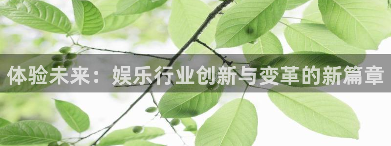 环球360娱乐官网免费观看：体验未来：娱乐行业创新与变革的新篇章