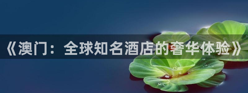 环球360一比一代理合作：《澳门：全球知名酒店的奢华体验》