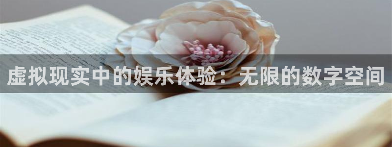 环球360官网会员注册：虚拟现实中的娱乐体验：无限的数字空间