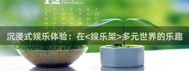 环球360私网代理合作：沉浸式娱乐体验：在<娱乐架>多元世界的乐趣