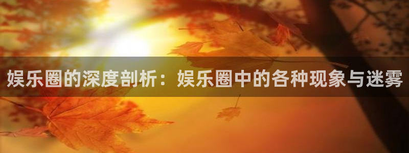 环球360：娱乐圈的深度剖析：娱乐圈中的各种现象与迷雾