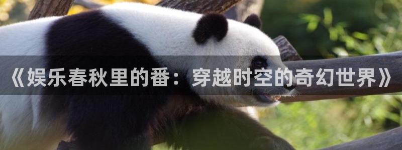 环球360：《娱乐春秋里的番：穿越时空的奇幻世界》